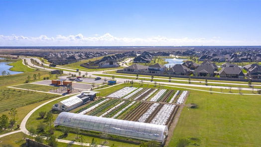 Fulshear 1-story, 3-bed 29307 Mesquite Oaks Drive-idx