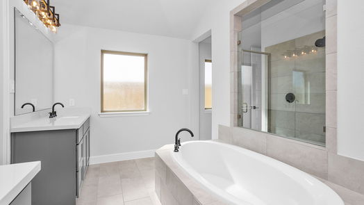 Fulshear 1-story, 4-bed 4623 Rustic Garden Lane-idx