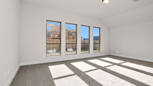 Fulshear 1-story, 4-bed 30263 Gold Finch Place-idx