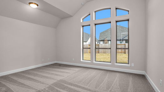 Fulshear 1-story, 4-bed 4510 Cardinal Court-idx