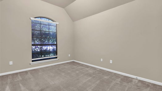 Houston 1-story, 4-bed 13722 Playa Lucia Court-idx