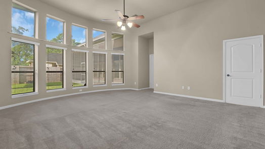 Houston 1-story, 4-bed 13722 Playa Lucia Court-idx