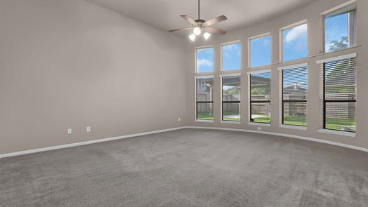 Houston 1-story, 4-bed 13722 Playa Lucia Court-idx