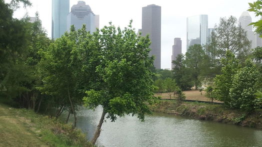 Houston 3-story, 3-bed 319 W Drew Street-idx