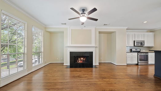 Houston 3-story, 3-bed 319 W Drew Street-idx