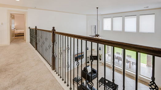 Houston 2-story, 5-bed 16206 Pelican Beach Lane-idx