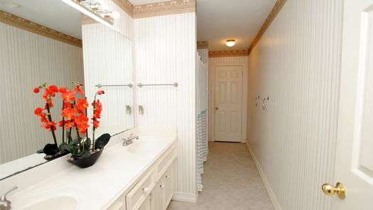 Houston null-story, 4-bed 13107 Walnut Lake Road-idx