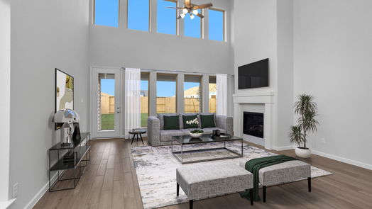 Iowa Colony 2-story, 4-bed 4723 Joplin Street-idx