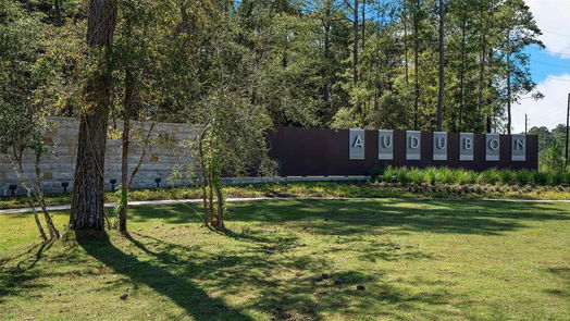 Magnolia 1-story, 4-bed 323 Bananaquit Way-idx