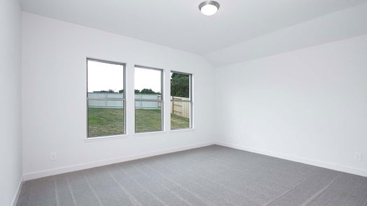 Magnolia 1-story, 4-bed 210 Ancient Murrelet Court-idx