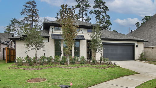 Magnolia 1-story, 4-bed 8403 Willow Whisper Lane-idx