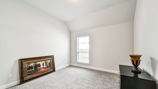 Manvel 1-story, 4-bed 9919 Starry Night Lane-idx