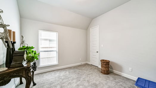 Manvel 1-story, 4-bed 9919 Starry Night Lane-idx