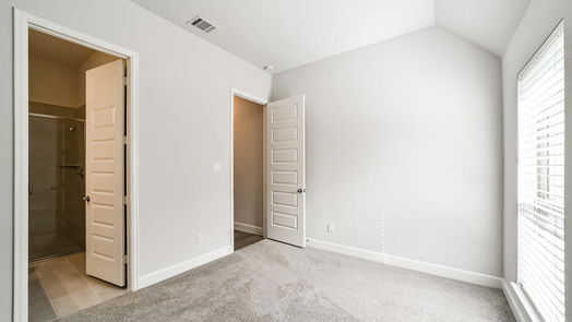 Manvel 1-story, 4-bed 9919 Starry Night Lane-idx