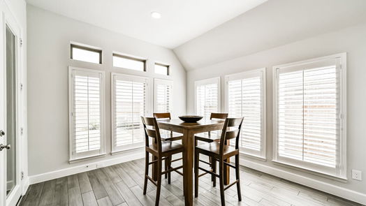 Manvel 1-story, 4-bed 9919 Starry Night Lane-idx