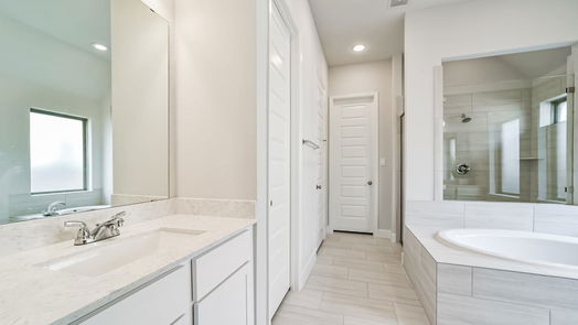 Manvel 1-story, 4-bed 9919 Starry Night Lane-idx