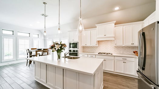 Manvel 1-story, 4-bed 9919 Starry Night Lane-idx
