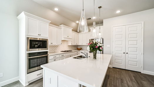 Manvel 1-story, 4-bed 9919 Starry Night Lane-idx