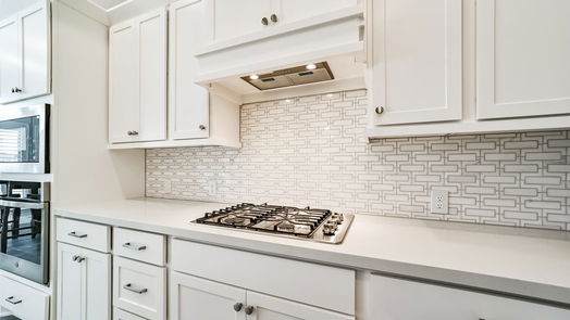 Manvel 1-story, 4-bed 9919 Starry Night Lane-idx