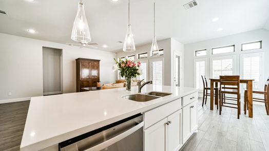 Manvel 1-story, 4-bed 9919 Starry Night Lane-idx