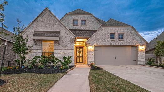 Manvel 1-story, 4-bed 2234 Forest Trace Lane-idx