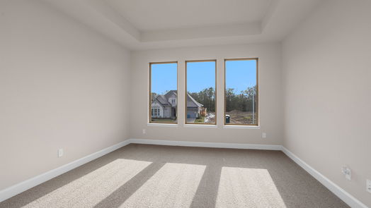 Manvel 2-story, 5-bed 5810 Pink Coral Lane-idx