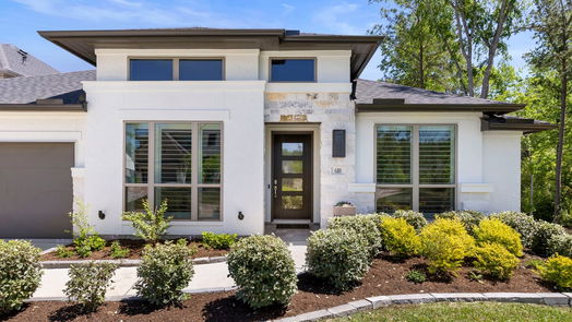 Montgomery 1-story, 4-bed 610 Bronze Bristol Street-idx