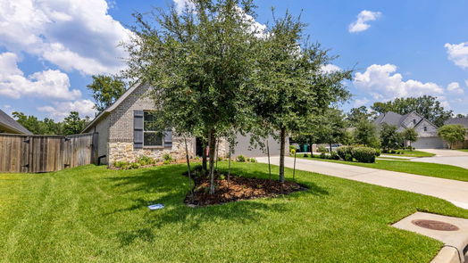 Montgomery 1-story, 4-bed 133 S Carson Cub Court-idx