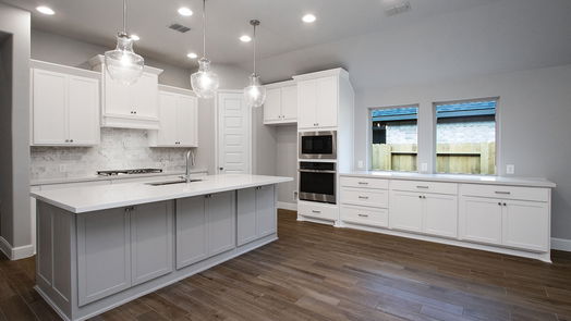 Montgomery 1-story, 4-bed 215 West Netleaf Court-idx
