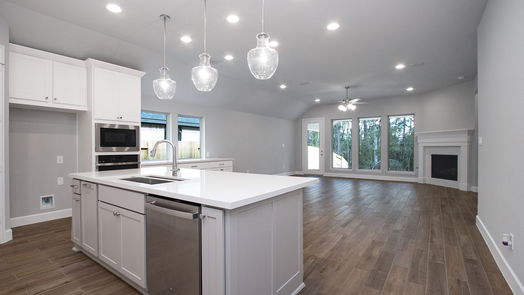 Montgomery 1-story, 4-bed 215 West Netleaf Court-idx