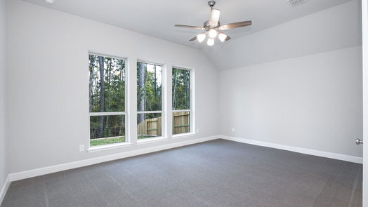 Montgomery 1-story, 4-bed 215 West Netleaf Court-idx