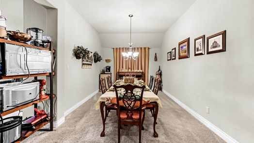 Pearland 1-story, 4-bed 13934 Palm Ridge Lane-idx
