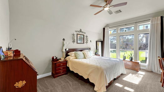 Pearland 1-story, 4-bed 13934 Palm Ridge Lane-idx