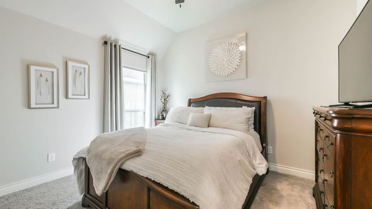 Pearland 1-story, 4-bed 13803 Tidewater Crest Lane-idx