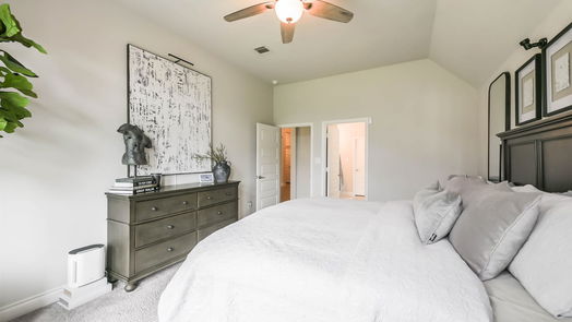 Pearland 1-story, 4-bed 13803 Tidewater Crest Lane-idx