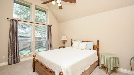 Pearland 1-story, 4-bed 13613 Starwreath Drive-idx