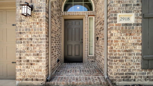 Pearland 1-story, 4-bed 2918 Ivory Terrace Lane-idx