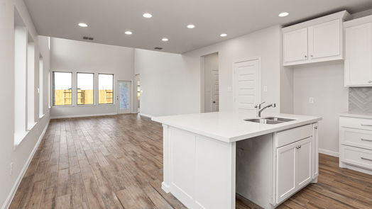 Rosenberg 2-story, 4-bed 5007 Henry Merritt Street-idx