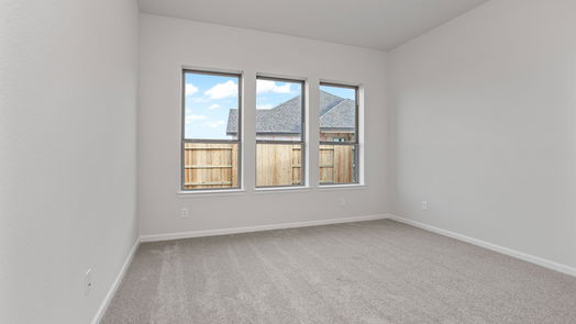 Rosenberg 2-story, 4-bed 5007 Henry Merritt Street-idx