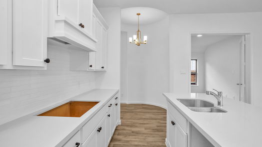 Rosenberg 1-story, 3-bed 5018 Cedar Sage Drive-idx