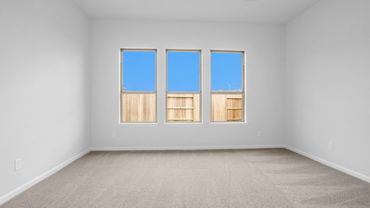 Rosenberg 2-story, 4-bed 5043 Cedar Sage Drive-idx