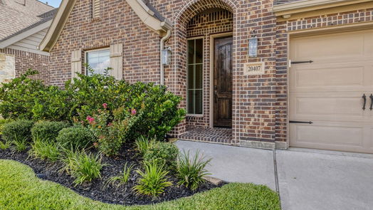 Tomball 1-story, 4-bed 20407 Noble Arabian Drive-idx