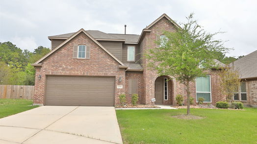 Houston 2-story, 4-bed 14554 Northern Mountain Court-idx