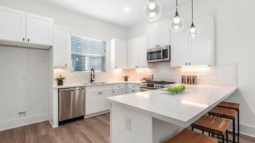 Houston 3-story, 3-bed 903 Lehman F-idx