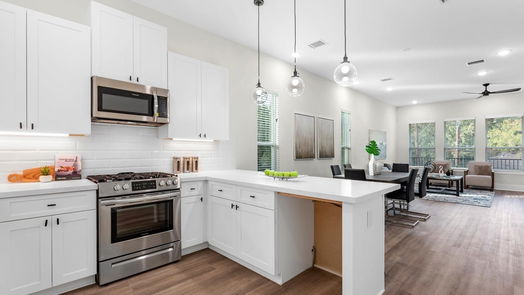 Houston 3-story, 3-bed 903 Lehman F-idx