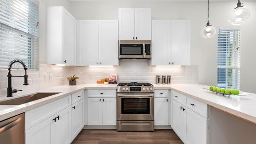 Houston 3-story, 3-bed 903 Lehman F-idx
