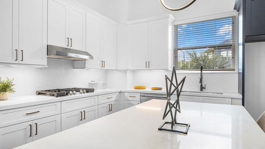 Houston 3-story, 3-bed 861 Fisher E-idx