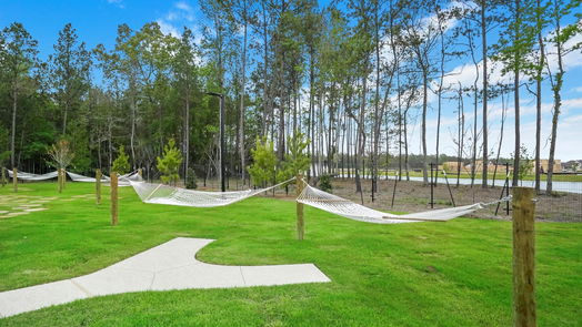 Conroe 2-story, 5-bed 15823 Dove Hollow Drive-idx