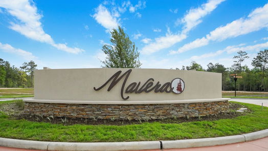 Conroe 2-story, 4-bed 15063 Wild Gully Way-idx