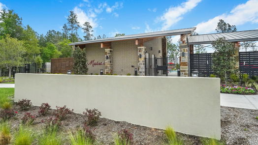 Conroe 2-story, 4-bed 15063 Wild Gully Way-idx